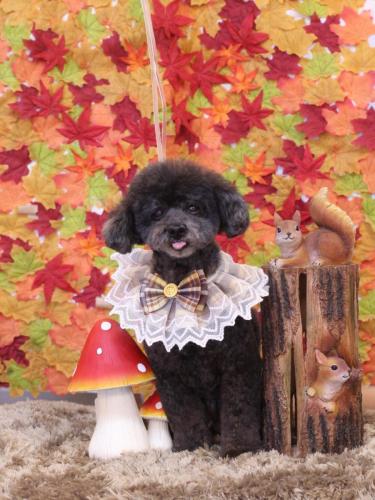 20241126コタロウくん